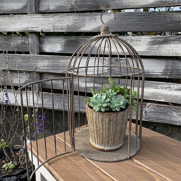 バードケージ ディスプレイ ヴィンティー バードゲージ ブラウン