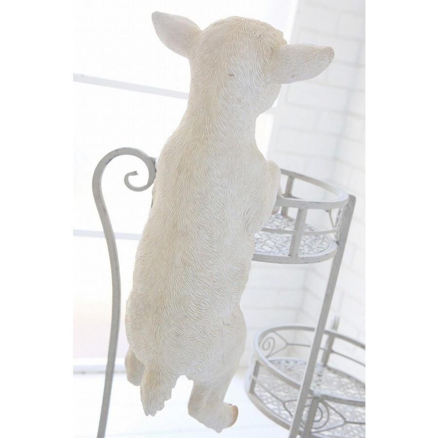 クランバーシープ アンティーク調 羊 子羊 ひつじ 未 動物 コベント
