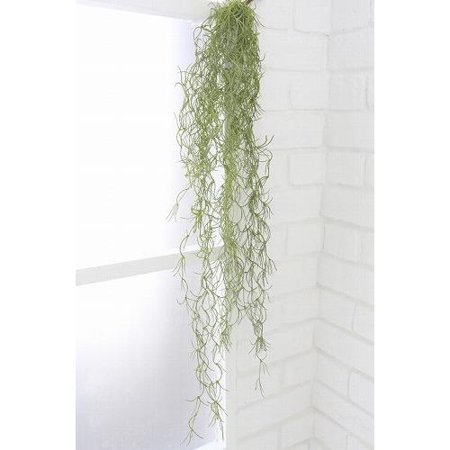 ウスネオイデス Covent Garden コベントガーデン インテリアグリーン 人工観葉植物 フェイクグリーン 造花 Vu 22 ポイント10倍 Zc Vu 22yahoo メルシープレゼント 雑貨屋 通販 Yahoo ショッピング