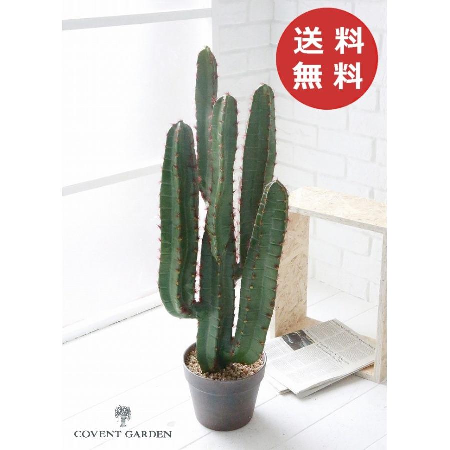上質で快適 カクタス ユーフォルビア 造花 サボテン さぼてん Covent Garden コベントガーデン 造花 鉢 グリーン 人工観葉植物 フェイクグリーン 最先端 Habitat Jeunes Normandie Fr