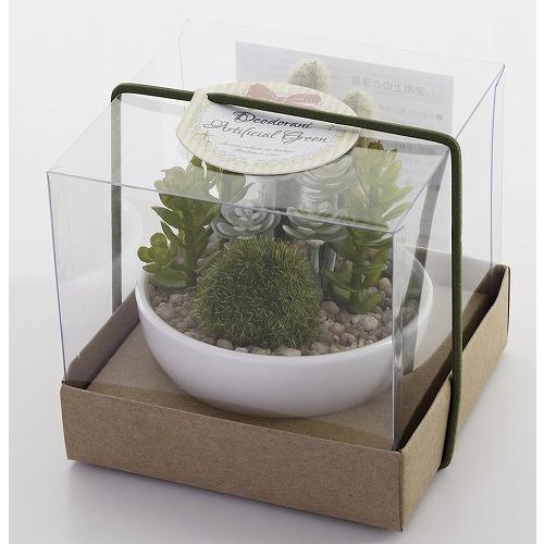 キシマ サキュレントリフレリウム 消臭アーティフィシャルグリーン