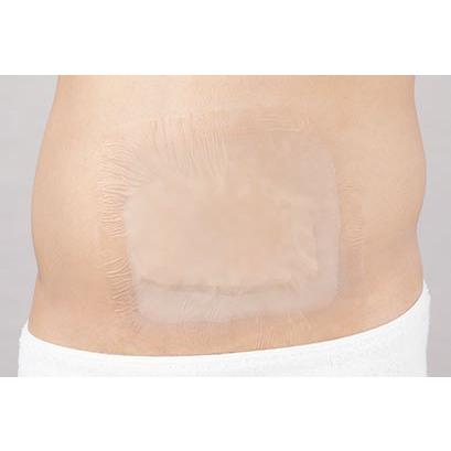 ALCARE（アルケア） バスラックシール 20cmx23cm 20952 10枚入