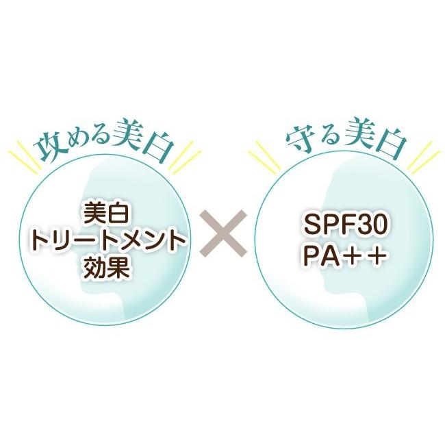 クリーム ファンデーション 白美肌サポート35ｇ 光老化 日焼け 対策 美容液 合成色素フリー パラベンフリー 鉱物油フリー White Fst メリカ オンラインショップ 通販 Yahoo ショッピング