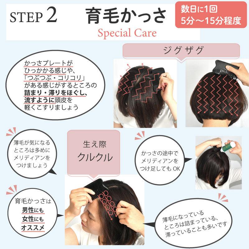 育毛 かっさ スターターセット 頭皮 かっさ スカルプケア 育毛剤 かっさプレート 男性用 女性用 |  | 11