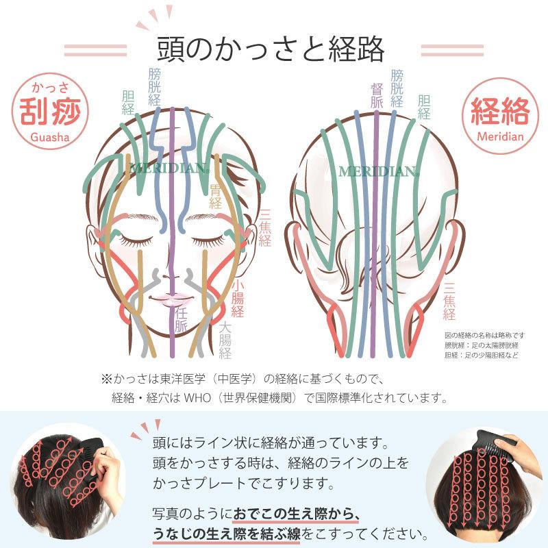 育毛 かっさ スターターセット 頭皮 かっさ スカルプケア 育毛剤 かっさプレート 男性用 女性用 |  | 15