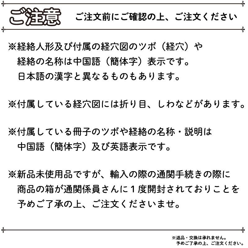 経絡・経穴（ツボ）人形 人体模型 鍼灸 エステサロン用品 |  | 06