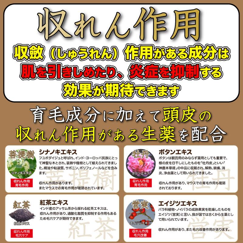 薬用育毛剤 MERIDIAN メリディアン医薬部外品 3本セット 男性用 女性用 |  | 11