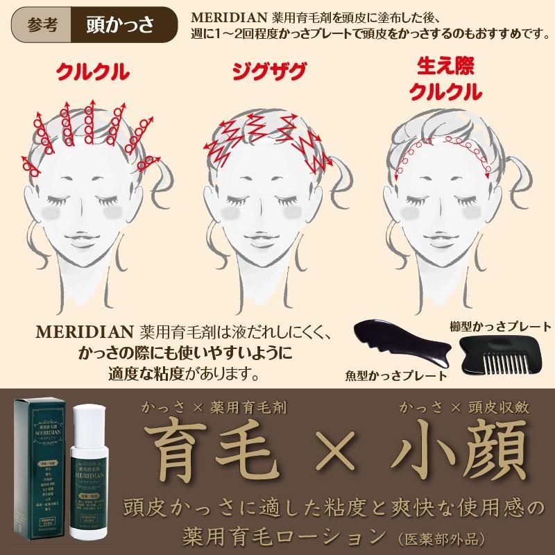 薬用育毛剤 MERIDIAN メリディアン医薬部外品 3本セット 男性用 女性用 |  | 19