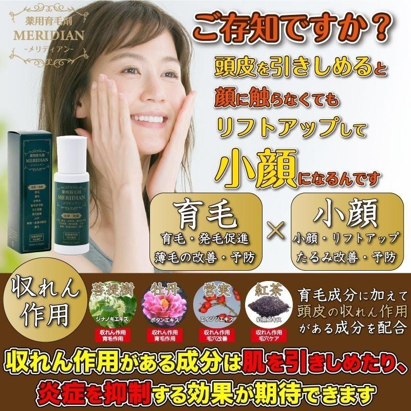 育毛剤 医薬部外品 MERIDIAN-メリディアン-6本セット 薬用育毛剤 男性用 女性用 |  | 09