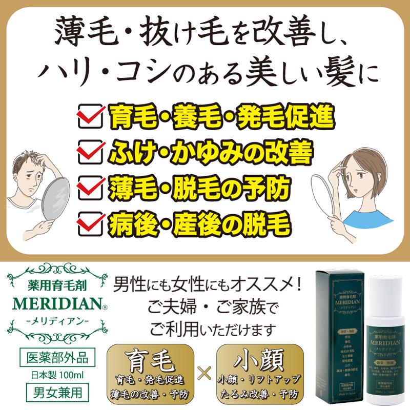 育毛剤 医薬部外品 MERIDIAN-メリディアン-6本セット 薬用育毛剤 男性用 女性用 |  | 04