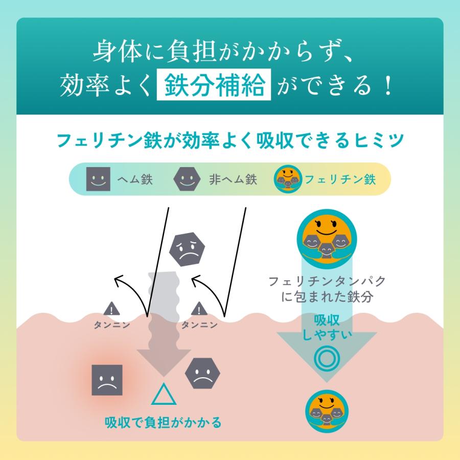【2025モンドセレクション金賞】フェリチン鉄サプリ 鉄分サプリ まめラボ フェリチン鉄 60粒 1ヵ月分 鉄分補給 鉄剤 鉄分 サプリ サプリメント 貧血 鉄 爆買 |  | 08