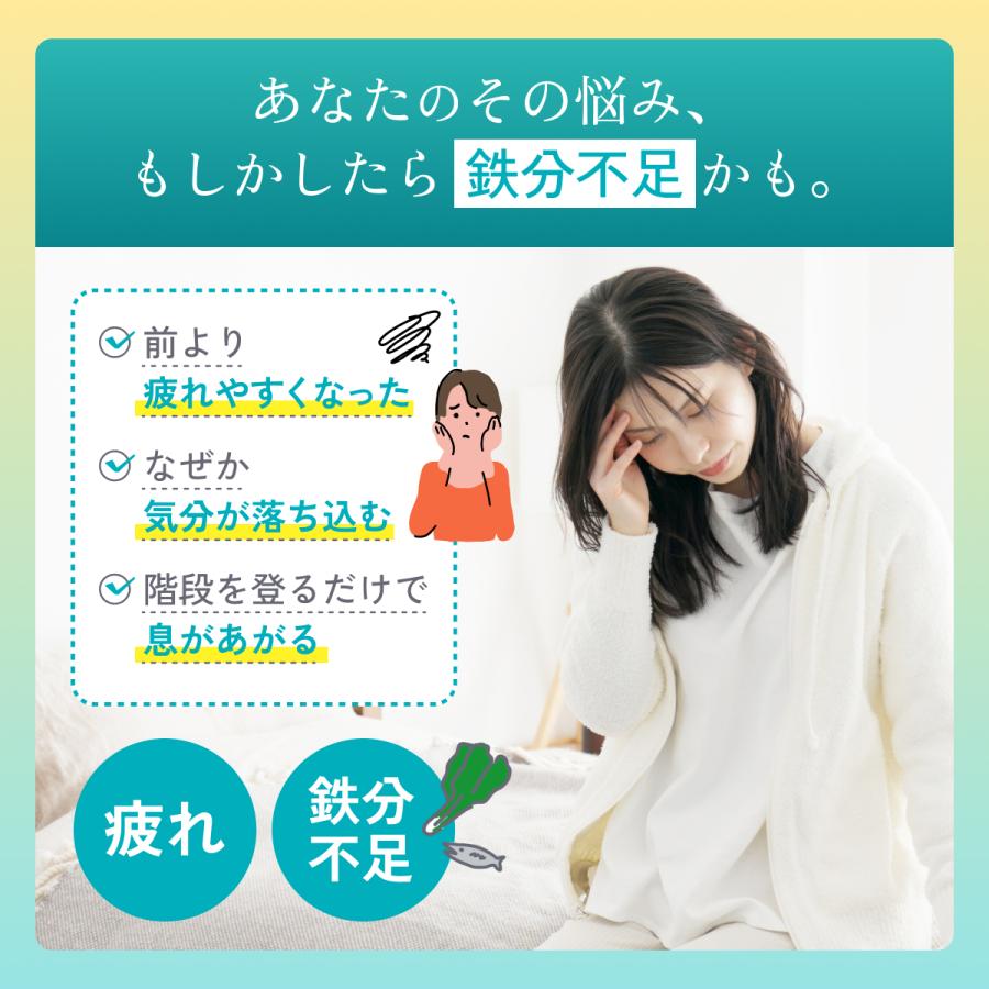 【2025モンドセレクション金賞】フェリチン鉄サプリ 鉄分サプリ まめラボ フェリチン鉄 120粒 2ヵ月分 鉄分補給 鉄剤 鉄分 サプリ サプリメント 貧血 鉄 |  | 04