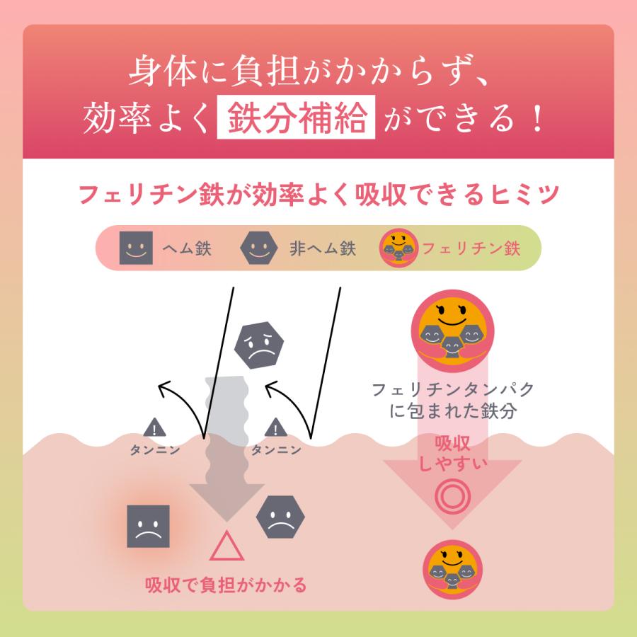 【2025年 / 2026年モンドセレクション金賞】フェリチン鉄サプリ 鉄分サプリ 爆買 |  | 10