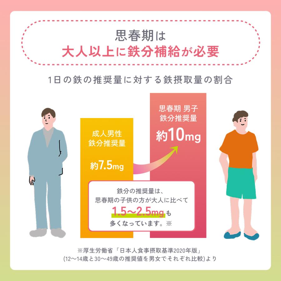【2025年 / 2026年モンドセレクション金賞】フェリチン鉄サプリ 鉄分サプリ 爆買 |  | 06