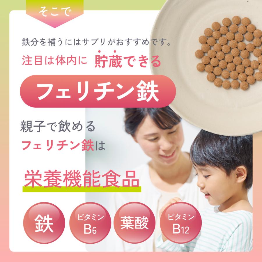【2025年 / 2026年モンドセレクション金賞】フェリチン鉄サプリ 鉄分サプリ 爆買 |  | 07