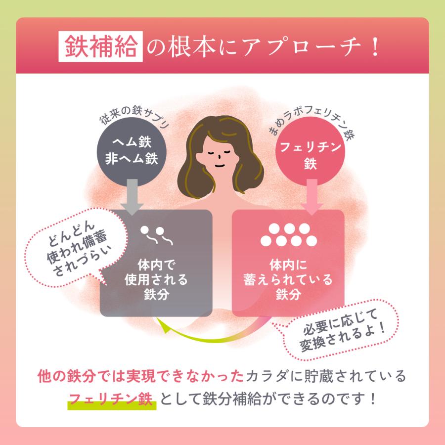 【2025年 / 2026年モンドセレクション金賞】フェリチン鉄サプリ 鉄分サプリ 爆買 |  | 09