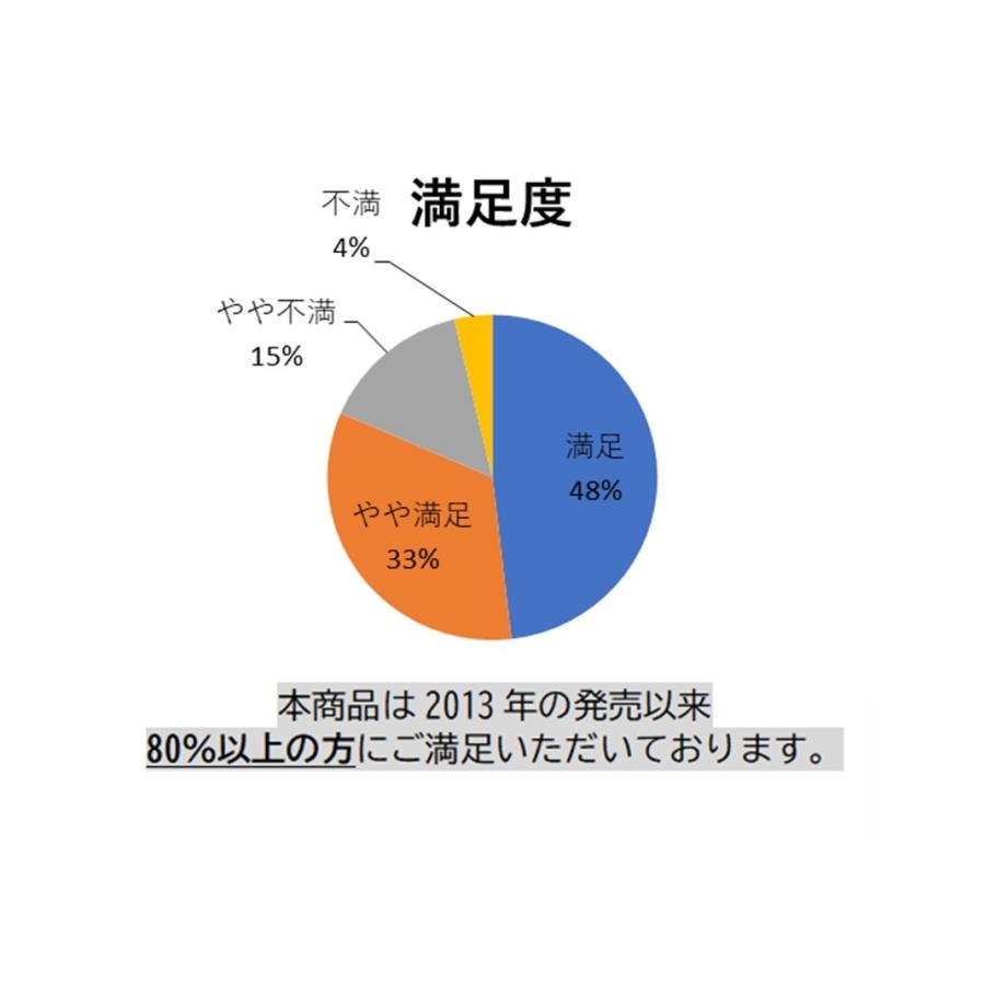 ラクーイ15度背上げマット[逆流性食道炎・胃全摘術後などに] 安心の