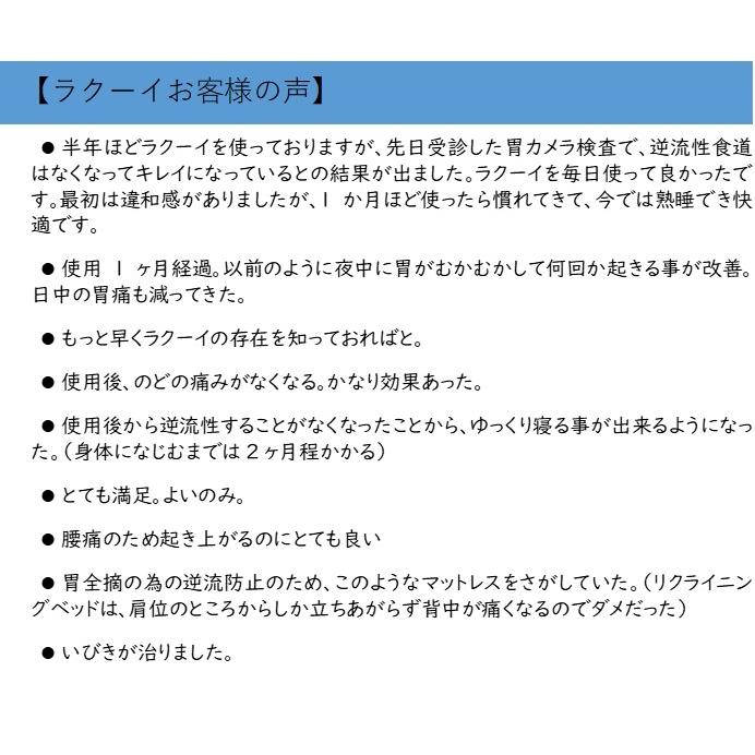 ラクーイ15度背上げマット[逆流性食道炎・胃全摘術後などに] 安心の