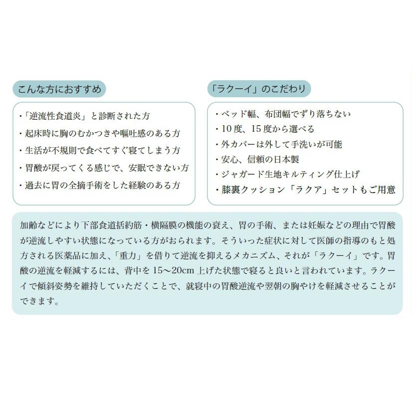 ラクーイ10度背上げマット[逆流性食道炎・胃全摘術後などに] 安心の