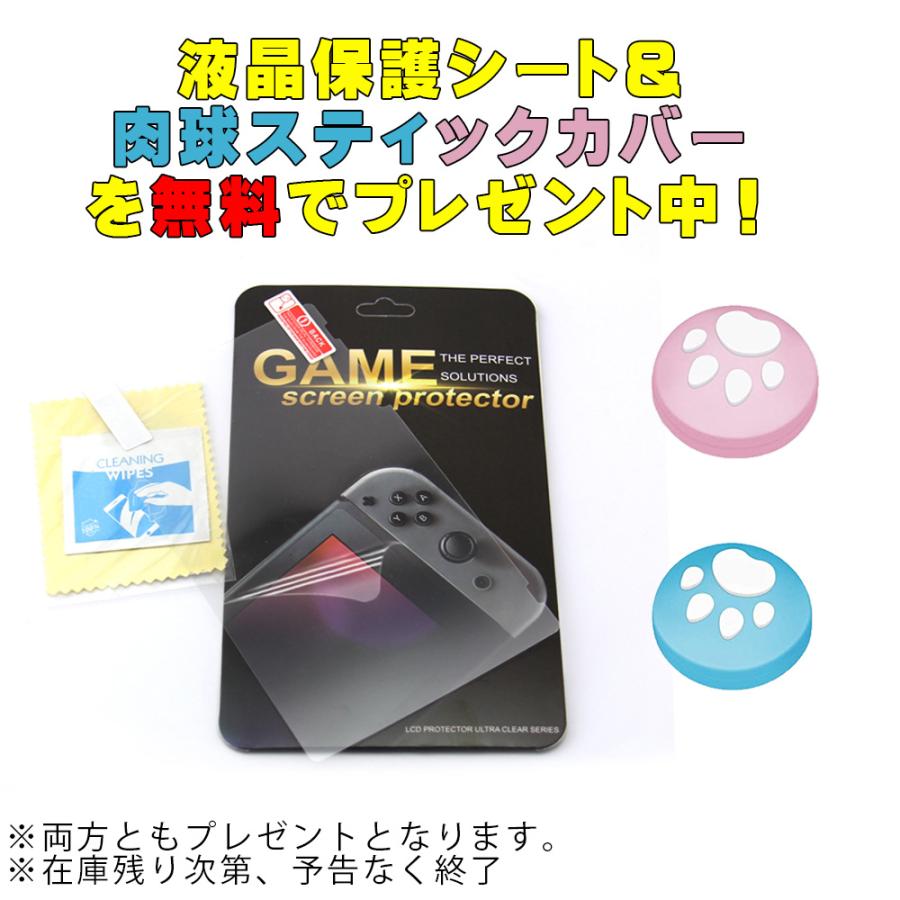 Nintendo Switch ケース 強化ガラスフィルム付き キャリングケース  