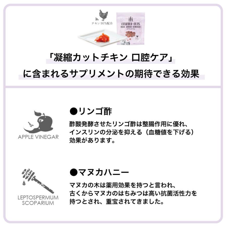 イティ トリーツ 100g Iti おやつ オヤツ グレインフリー サプリメント ジャーキー チキン ヘルスケア 凝縮カット 口腔ケア 犬 犬用 猫 猫用 本命ギフト 凝縮カット