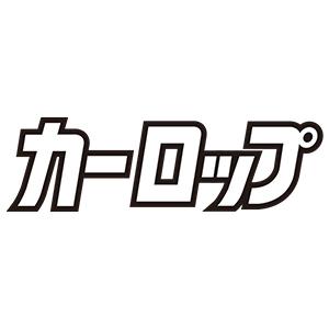 トーラス カーロップ 30ml 犬 猫 酔い止め 乗り物酔い シロップ お出かけ しつけ 不安解消 吠え対策 しつけグッズ ドライブ 犬用 猫用 ペット ハーブ 車 日本製 ワンちゃんの楽園 メルランド 通販 Yahoo ショッピング