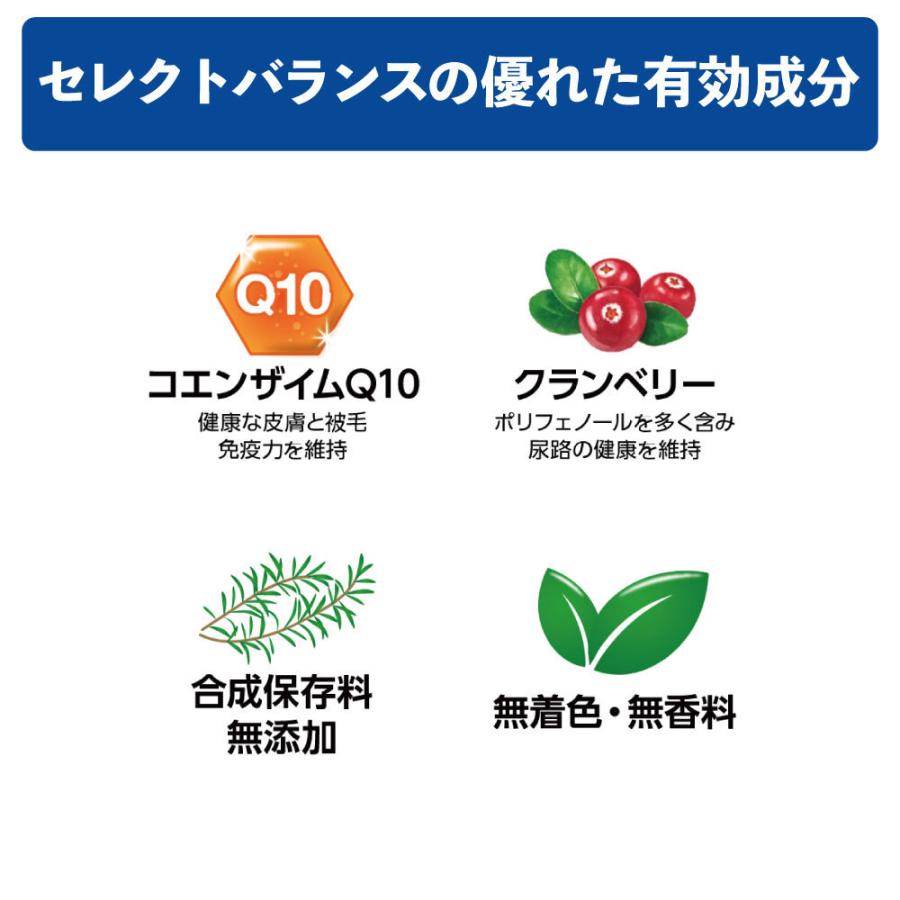 当店一番人気】 選べるプレゼント付き セレクトバランス ドッグフード