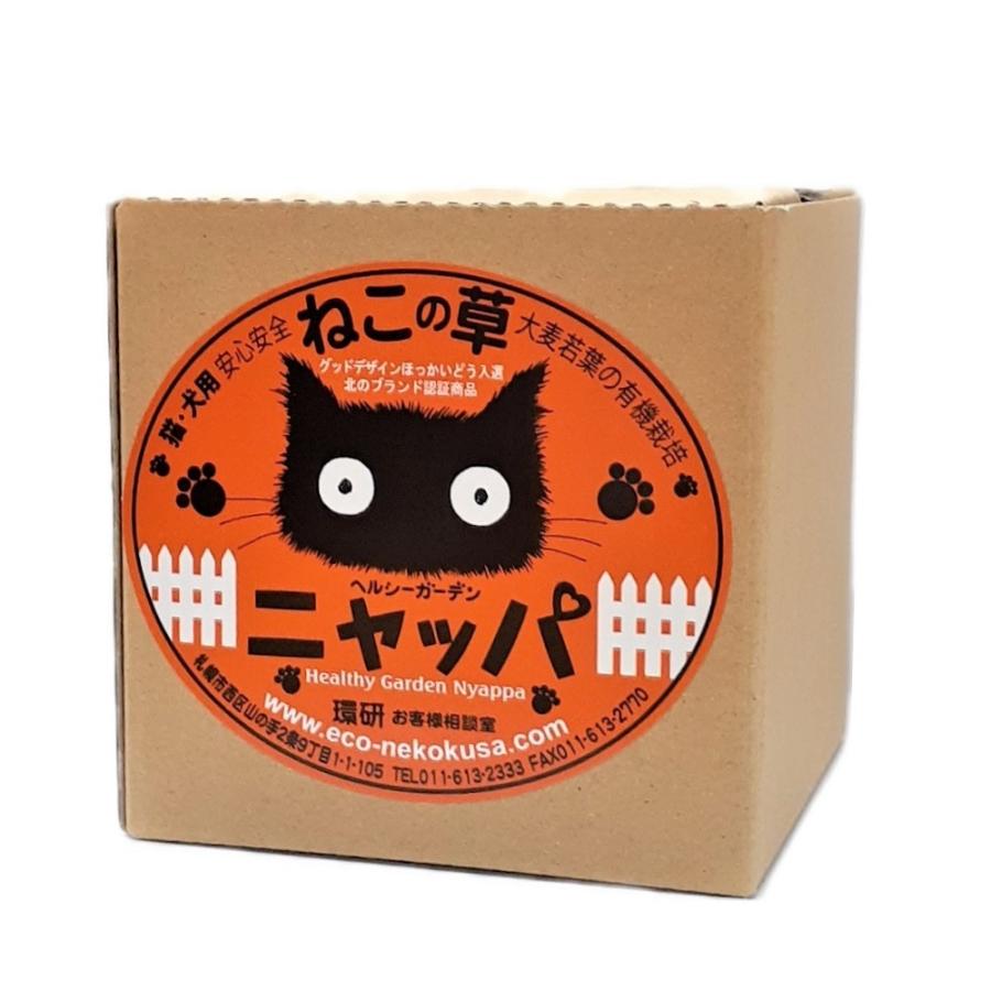 猫草 ヘルシーガーデン ニャッパ 大麦若葉栽培2回分セット ねこ草 ネコ草 種 栽培キット 無農薬 北海道 国産 安心 安全 毛玉対策 キャットグラス 発芽率90%保証 :4562109100037:ワンちゃんの楽園 メルランド - 通販 - Yahoo!ショッピング 猫草 ヘルシーガーデン ニャッパ 大麦若葉栽培2回分セット ねこ草 ネコ草 種 栽培キット 無農薬 北海道 国産 安心 安全 毛玉対策 キャットグラス 発芽率90%保証 :4562109100037:ワンちゃんの楽園 メルランド - 通販 - Yahoo!ショッピング