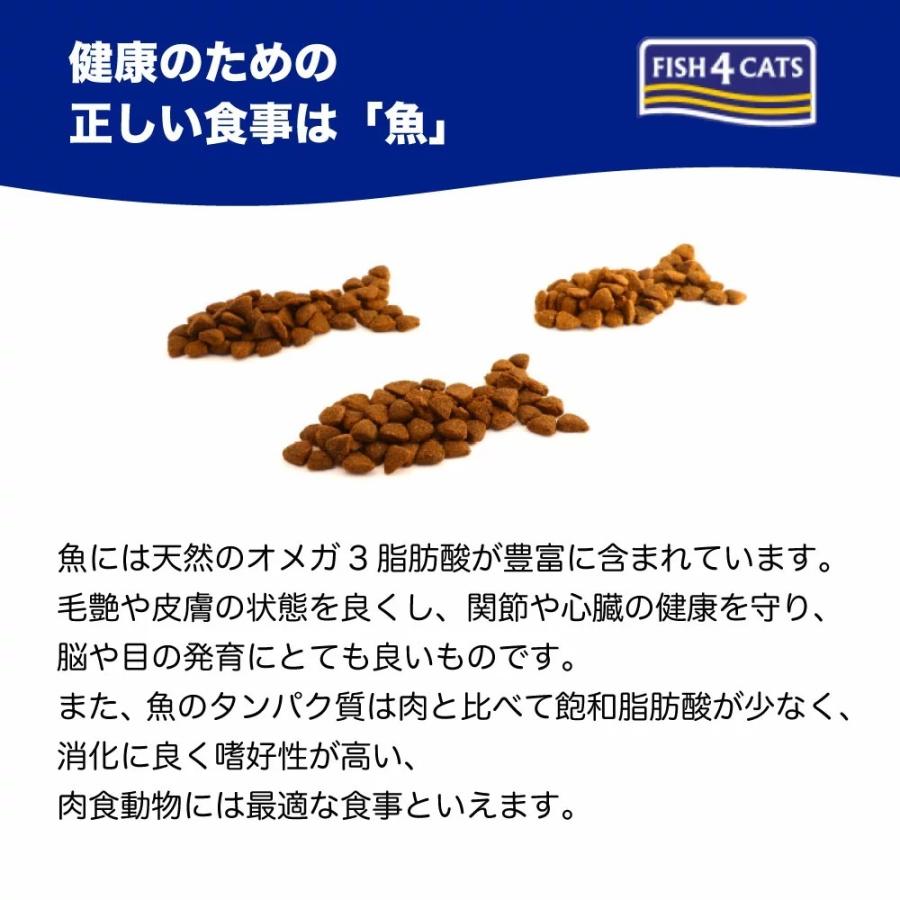 フィッシュ4 ドッグ サーモンオイル ポンプ 150ml 犬 猫 栄養補完食 犬用 猫用 健康 サポート 魚 鮭 オメガ3 キャット :4562244181700:ワンちゃんの楽園 メルランド - 通販 - Yahoo!ショッピング フィッシュ4 ドッグ サーモンオイル ポンプ 150ml 犬 猫 栄養補完食 犬用 猫用 健康 サポート 魚 鮭 オメガ3 キャット :4562244181700:ワンちゃんの楽園 メルランド - 通販 - Yahoo!ショッピング