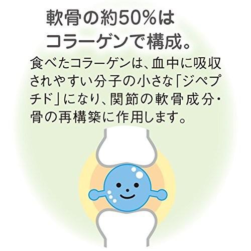 ニッピ あしたも走ろっ。 １０袋 ニッピ あしたも走ろっ。お試しセット 40g（4571109956032）｜犬