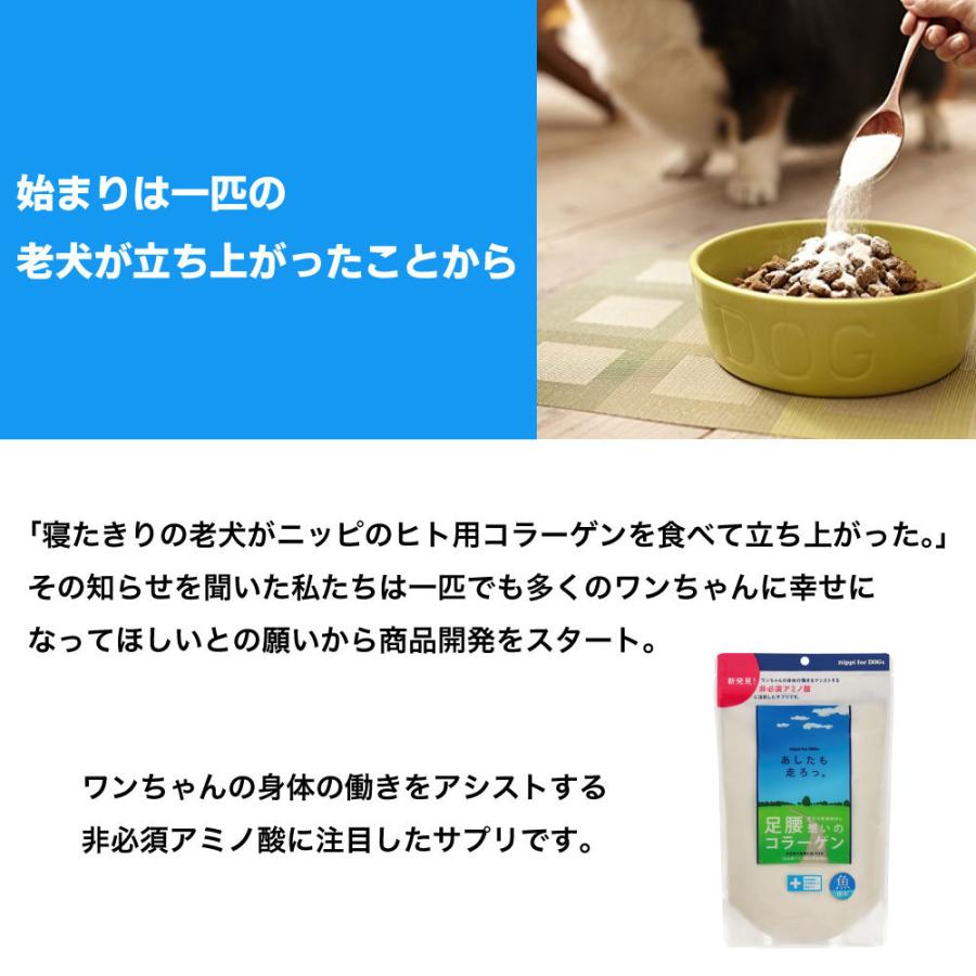 ニッピ あしたも走ろっ 魚由来 160g 犬 サプリメント ニッピ コラーゲン 関節 腰 皮膚 被毛 足 膝 シニア 高齢 サプリ 健康補助食品｜merland｜02