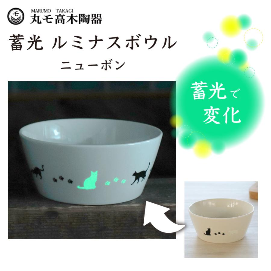 丸モ高木陶器 蓄光 猫 13cm ルミナスボウル ニューボン 猫柄 皿 ボウル