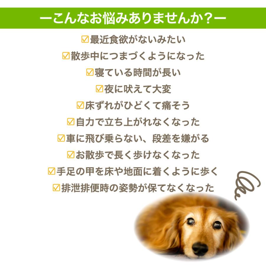 犬潤 100g 犬 猫 ペット サプリメント コラーゲン ペプチド 天然 低