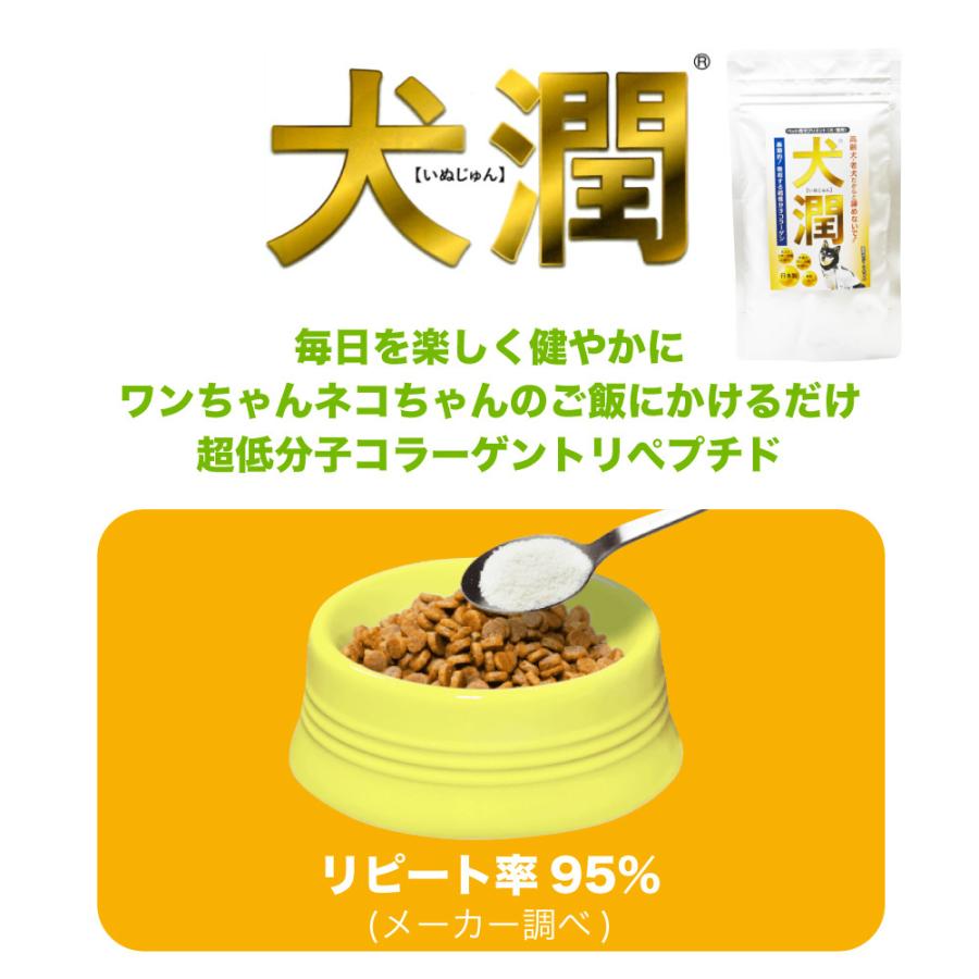 犬潤 100g 犬 猫 ペット サプリメント コラーゲン ペプチド 天然 低分子 皮膚 被毛 関節 軟骨 無香料 保存料不使用 国産 いぬじゅん｜merland｜03