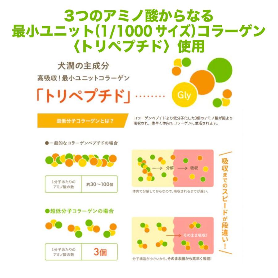犬潤 100g 犬 猫 ペット サプリメント コラーゲン ペプチド 天然 低