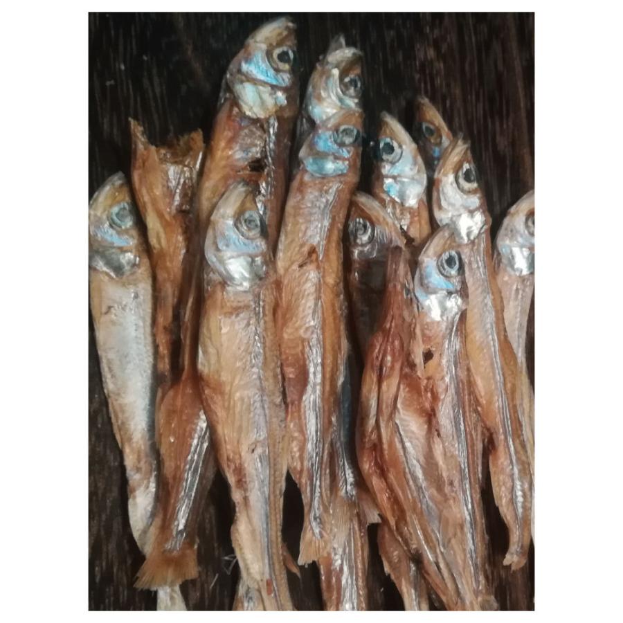 こまちな 八郎潟物語 秋田のわかさぎ 30g 犬 猫 おやつ 魚 国産 無添加 犬用 猫用 オヤツ ごほうび さかな 秋田県産 こまちな Komachi Na ワンちゃんの楽園 メルランド 通販 Yahoo ショッピング