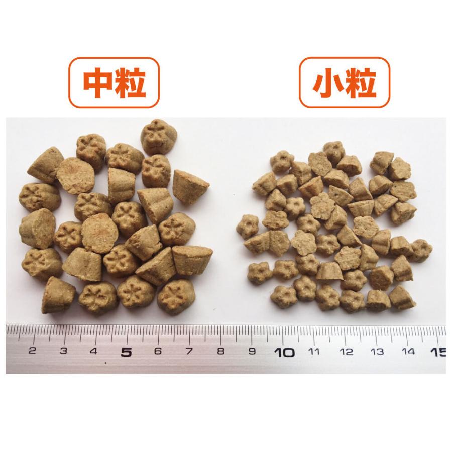 ロータス グレインフリー フィッシュレシピ 小粒 2.27kg 穀物不使用 犬用 フード LOTUS ドッグフード 犬用フード オーブンベイク製法 ドライフード 総合栄養食｜merland｜02