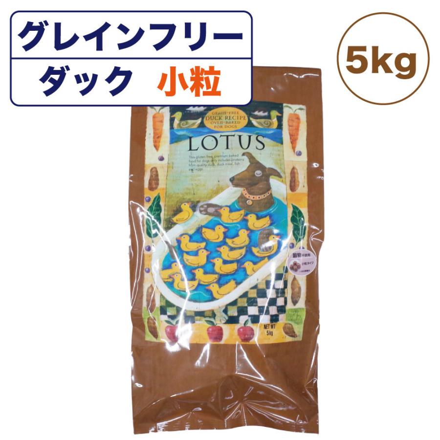ロータス グレインフリー フィッシュレシピ 小粒 5kg ×2