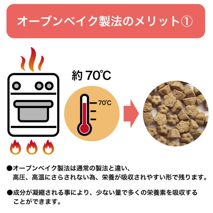ロータス グレインフリー フィッシュレシピ 小粒 5kg 穀物不使用 犬用 