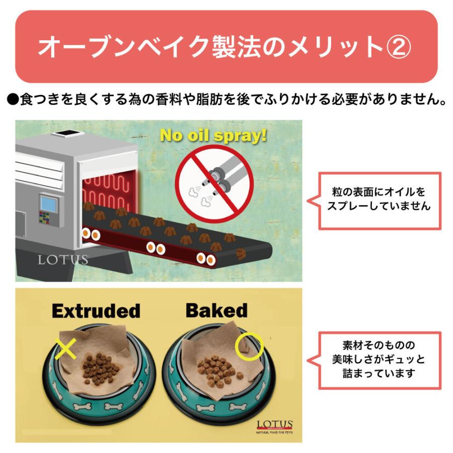 ロータス グレインフリー フィッシュレシピ 小粒 5kg 穀物不使用 犬用 