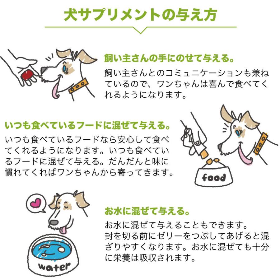 犬サプリメント 腸内環境の健康維持に チーズ味 15本入 犬 サプリ スティックゼリー 犬用 サプリメント 整腸 乳酸菌 善玉菌 国産 ワンちゃんの楽園 メルランド 通販 Yahoo ショッピング