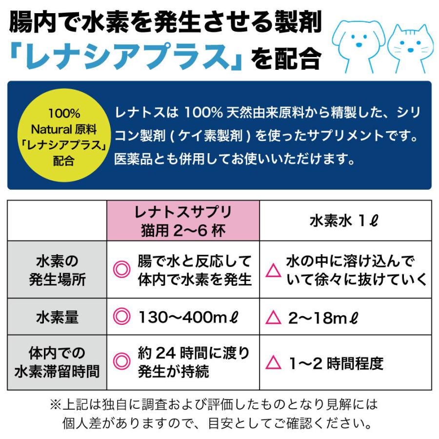 レナトス ST 猫用 水素 サプリメント 20g 猫 サプリ 皮ふ 被毛 レナトス ST 猫用 水素 サプリメント 20g 猫 サプリ 皮ふ 被毛