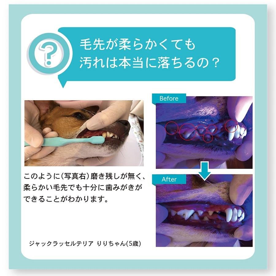 オーラバイオブラシ 長毛 犬 歯ブラシ 柔らかい 犬用 デンタルケア 歯みがき トレーニング用 ピンク 日本製 バイロン OraBio |  | 05