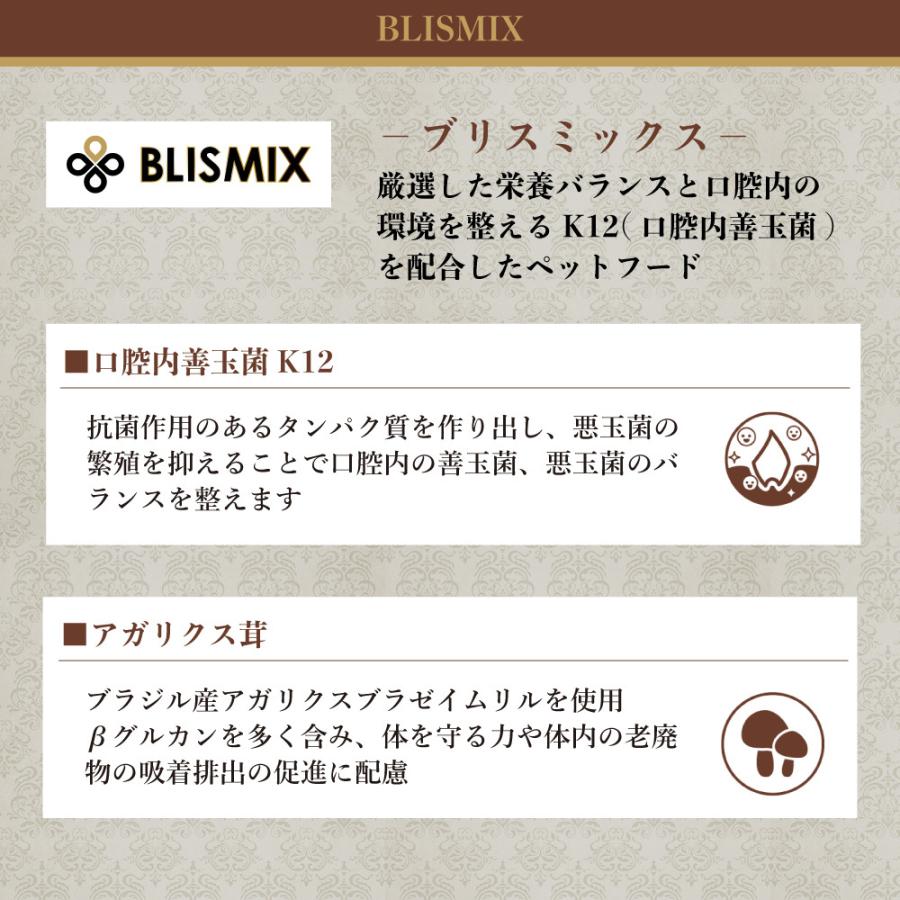 ブリスミックス ラム 中粒 3kg 犬 フード 犬用フード ドッグフード 全