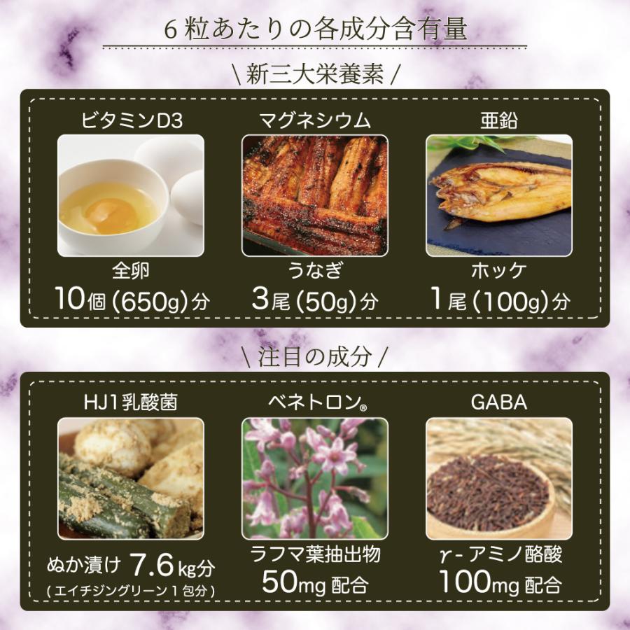 Premium 乳酸菌 エイチジンナイト 人用 45g(250mg×180粒) JIN H&J ジン