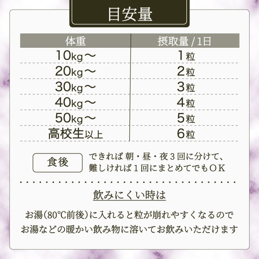 Premium 乳酸菌 エイチジンナイト 人用 45g(250mg×180粒) JIN H&J ジン