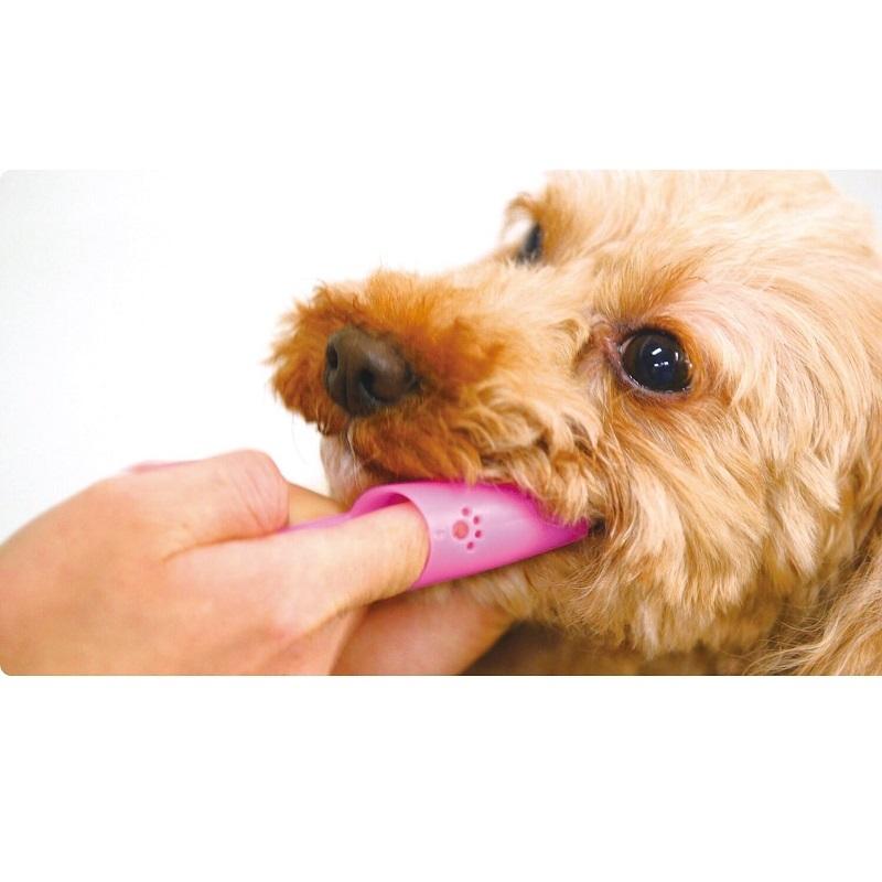 最大77 Offクーポン ペットキッス 指サック歯ブラシ 1本 犬 猫 ペット 歯みがき 歯ブラシ 歯石 歯垢 口臭対策 デンタルケア 口腔ケア 歯磨き 指サック Lion Petkiss Discoversvg Com