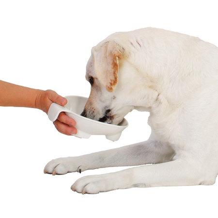ペティオ zuttone 老犬介護用 持ち手付食器 大 犬 フードボール シニア