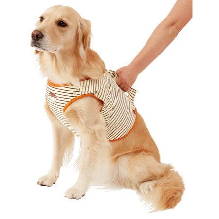 ペティオ zuttone 老犬介護用 補助機能付ベスト 3L 犬 ベスト 動作補助