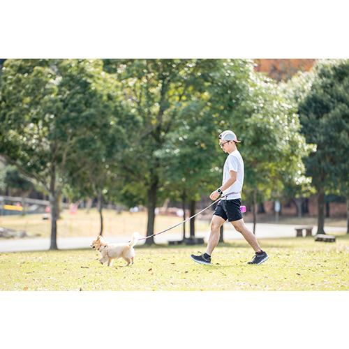 イージードッグ ロードランナー ライト バブルガム 犬用 リード 腰に巻く 犬 散歩 ハンズフリー ランニング ジョギング 小型犬 中型犬 Ezydog ワンちゃんの楽園 メルランド 通販 Yahoo ショッピング